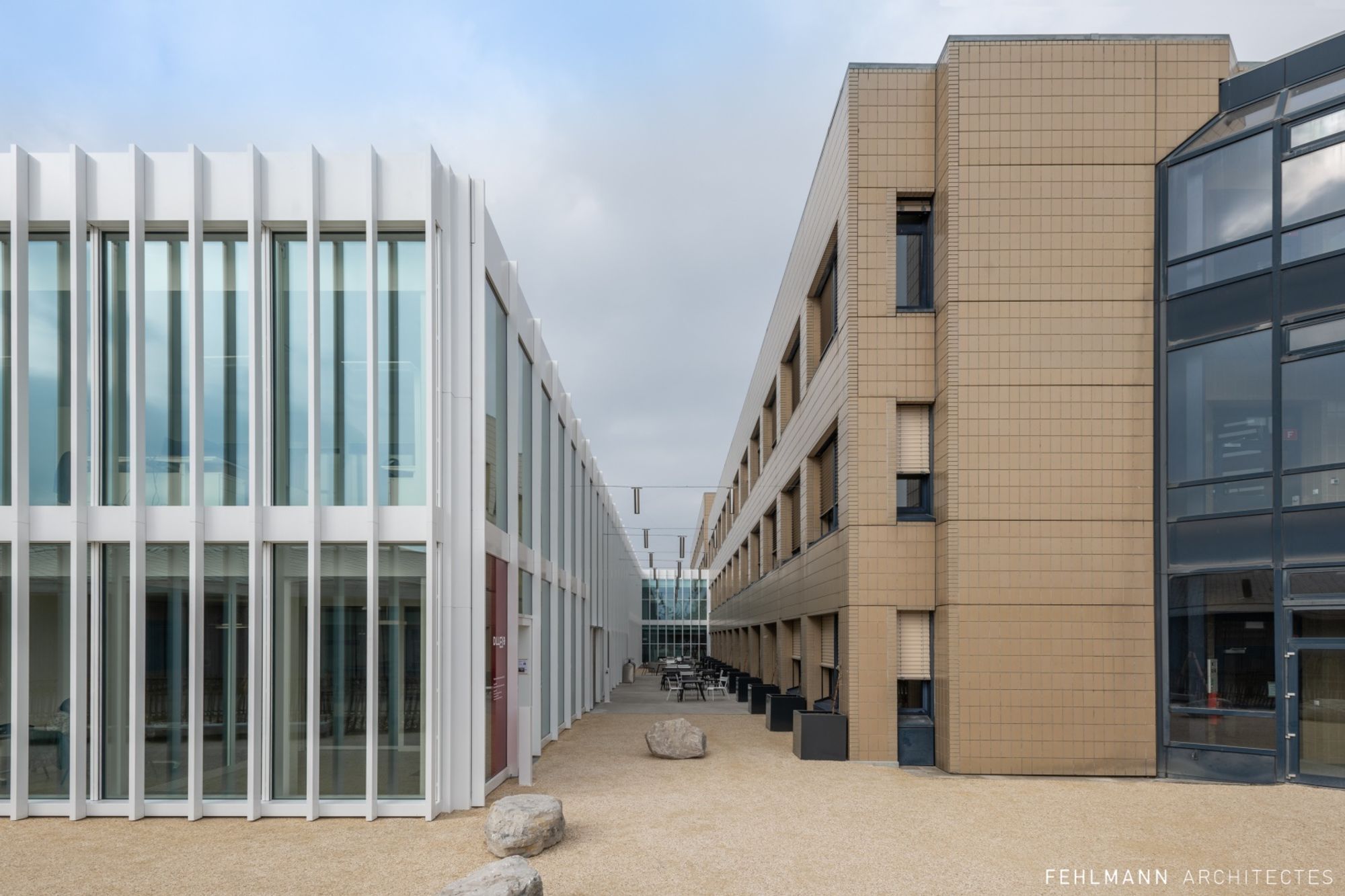 EPFL Discovery Learning Lab